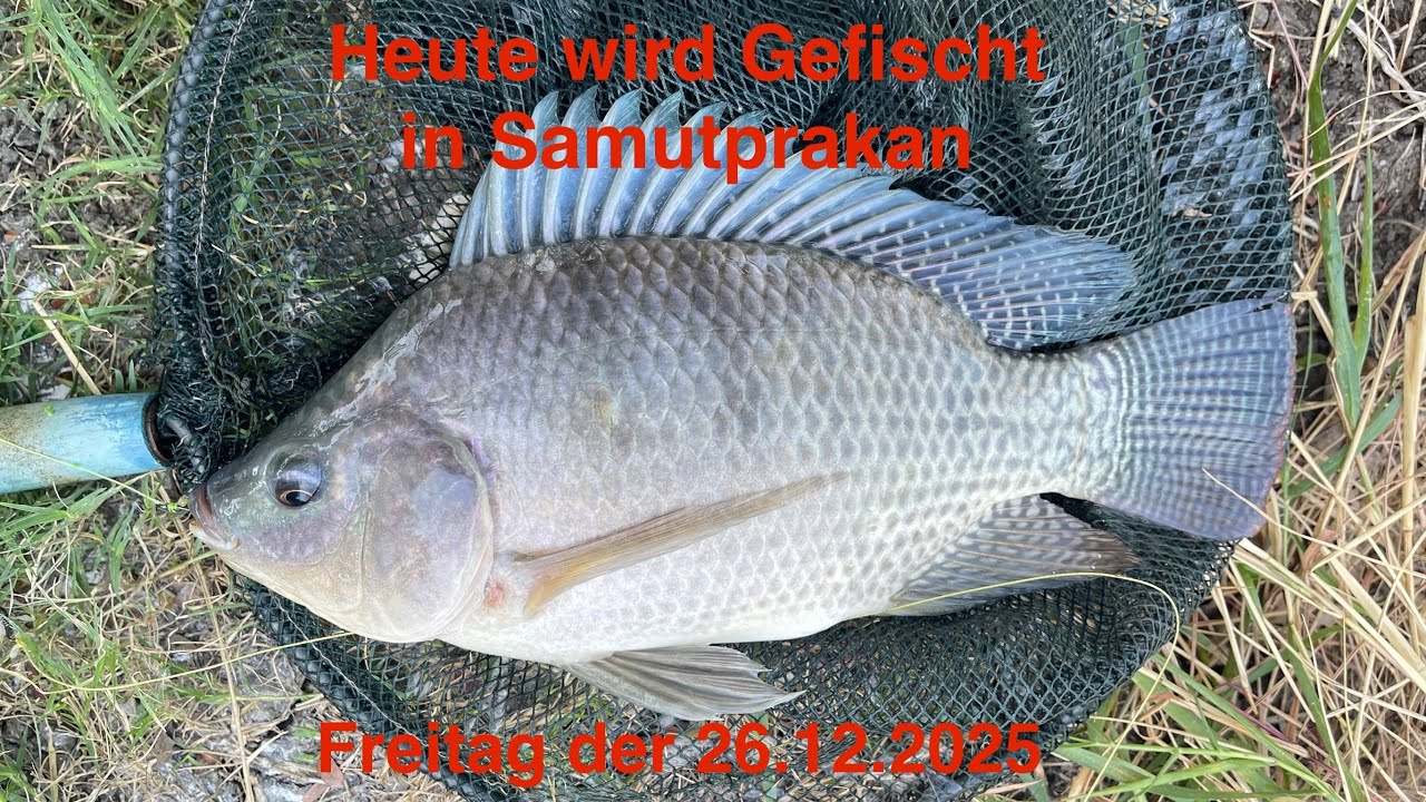 Fischen in Samutprakan