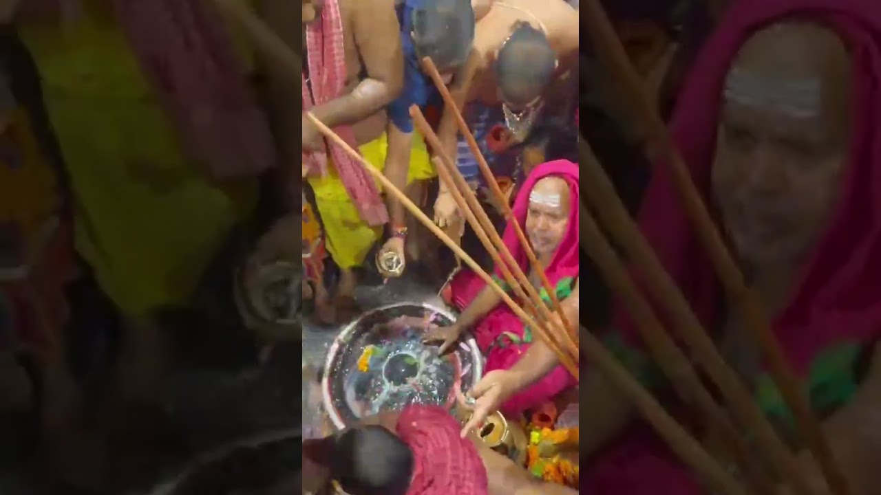 #বাবাবৈদ্যনাথ #বাবাধাম#দেওঘর #রুদ্রাভিষেক #Baidyanath # Babadham #deoghar #Rudrabhishek@paramita2626