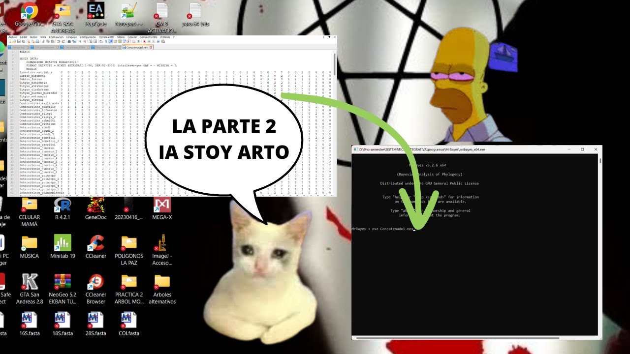ANALISIS CONCATENADO PARTE 2
