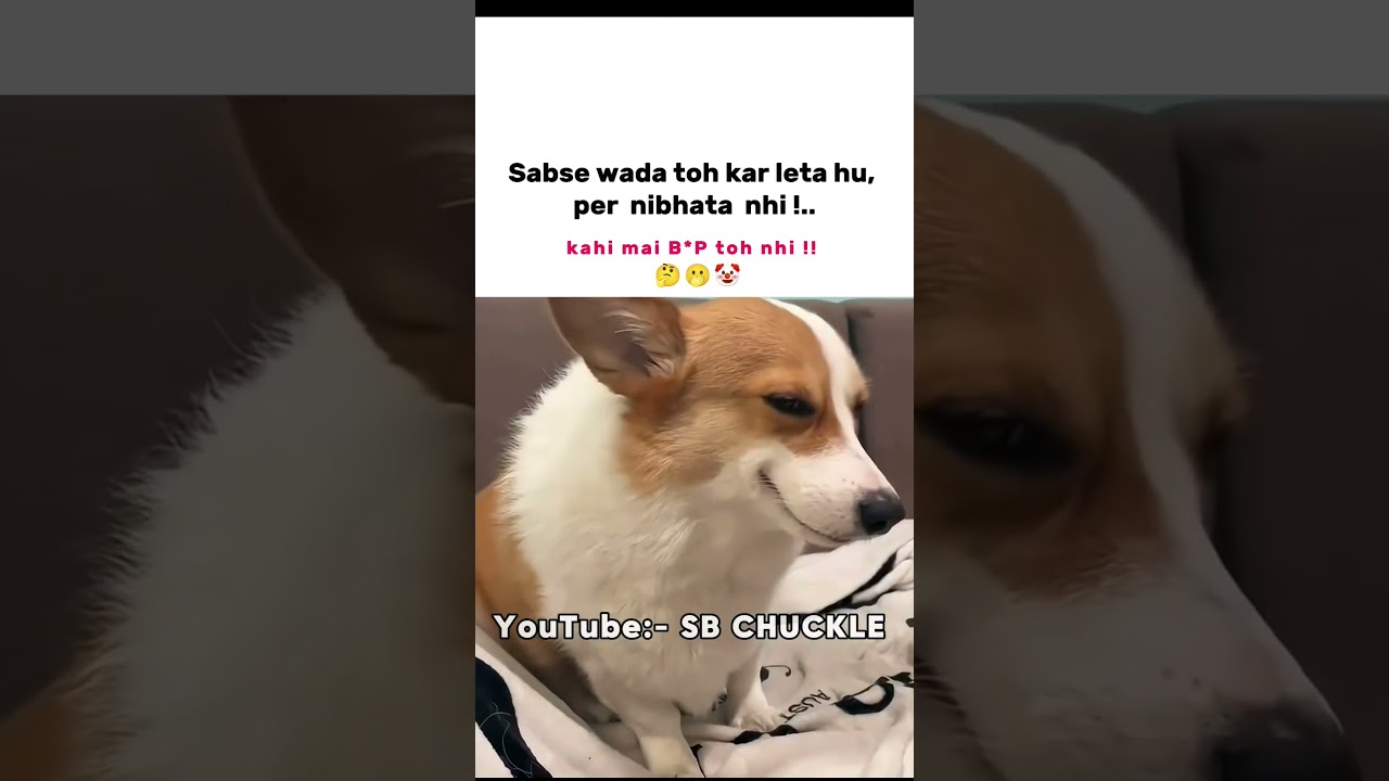 kahi mai BJP to nhi ☺️ #memes #explore #popular #viralmemes #funnymemes #bjp #funny #meme #shorts