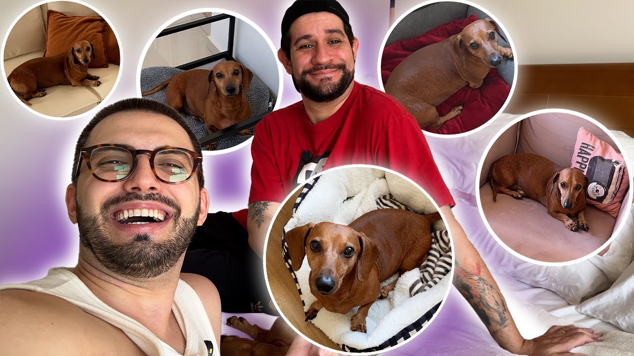 VLOG - TODAS AS CAMINHAS DO BENEDITO