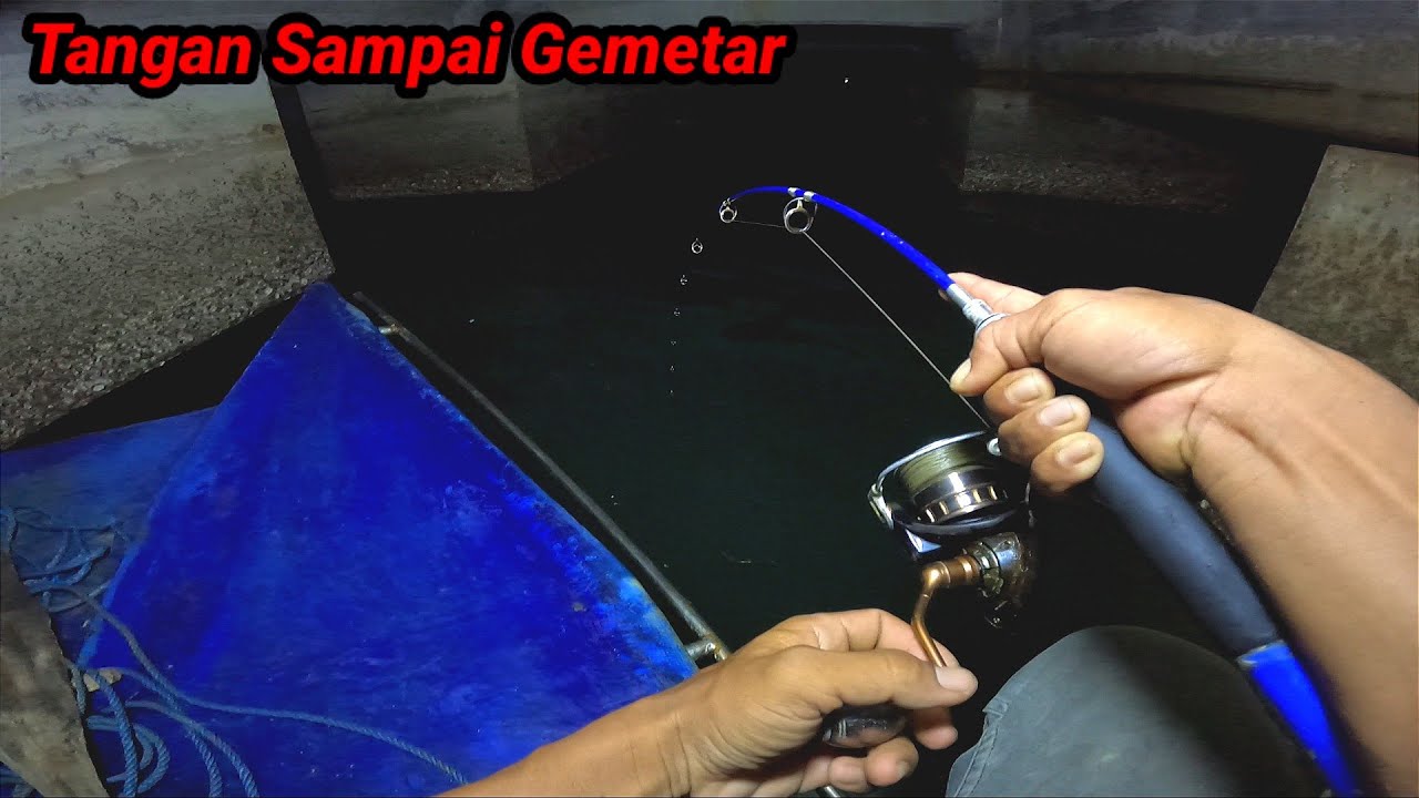 Ngeri Ngeri Sedap, Di Tarik ikan Besar Perahu Sampai Berputar, ikan Besar idaman