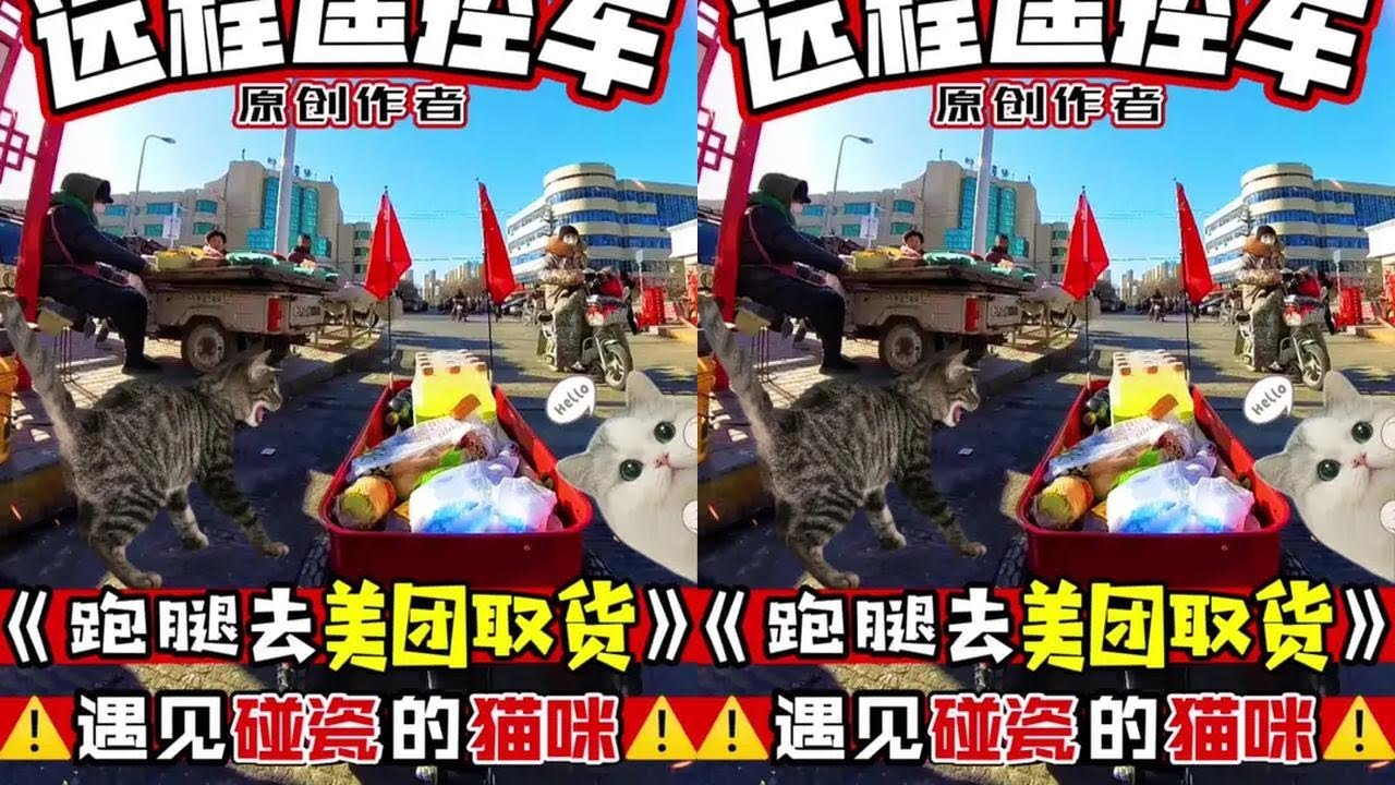 遥控车比人手拿得多~~#远程遥控车 #搞笑 #可爱 #齐老大遥控车 #遥控车