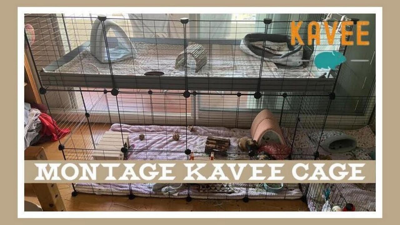 MONTAGE D’UNE  KAVEE CAGE POUR MILO