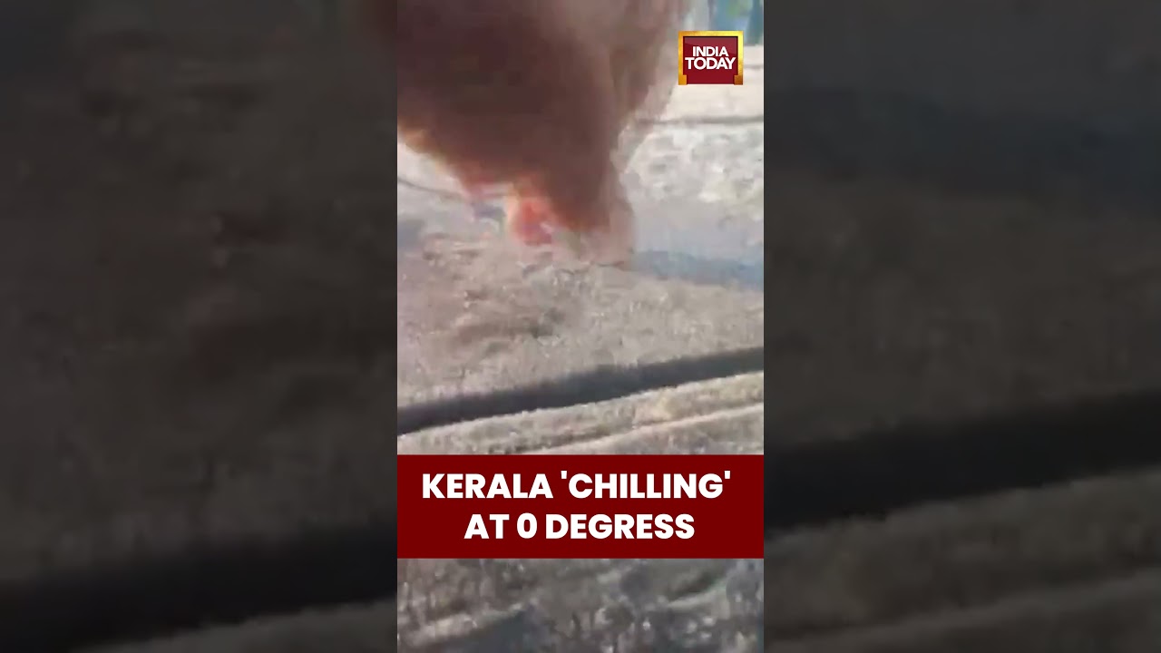 Kerala's Munnar Freezes: Zero Degrees Celsius Recorded | India Today