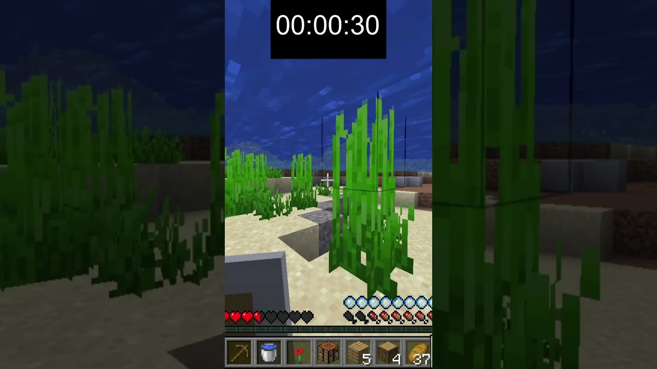 Przchodzę Minecrafta ale Mogę Grać 1 Minute dziennie part.6