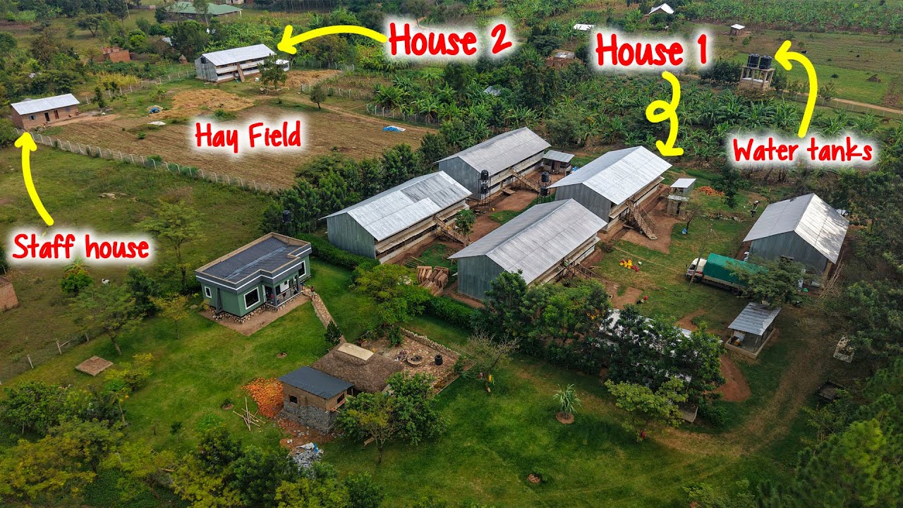 2025 Farm Review - The Best Year of My Farm Yet
