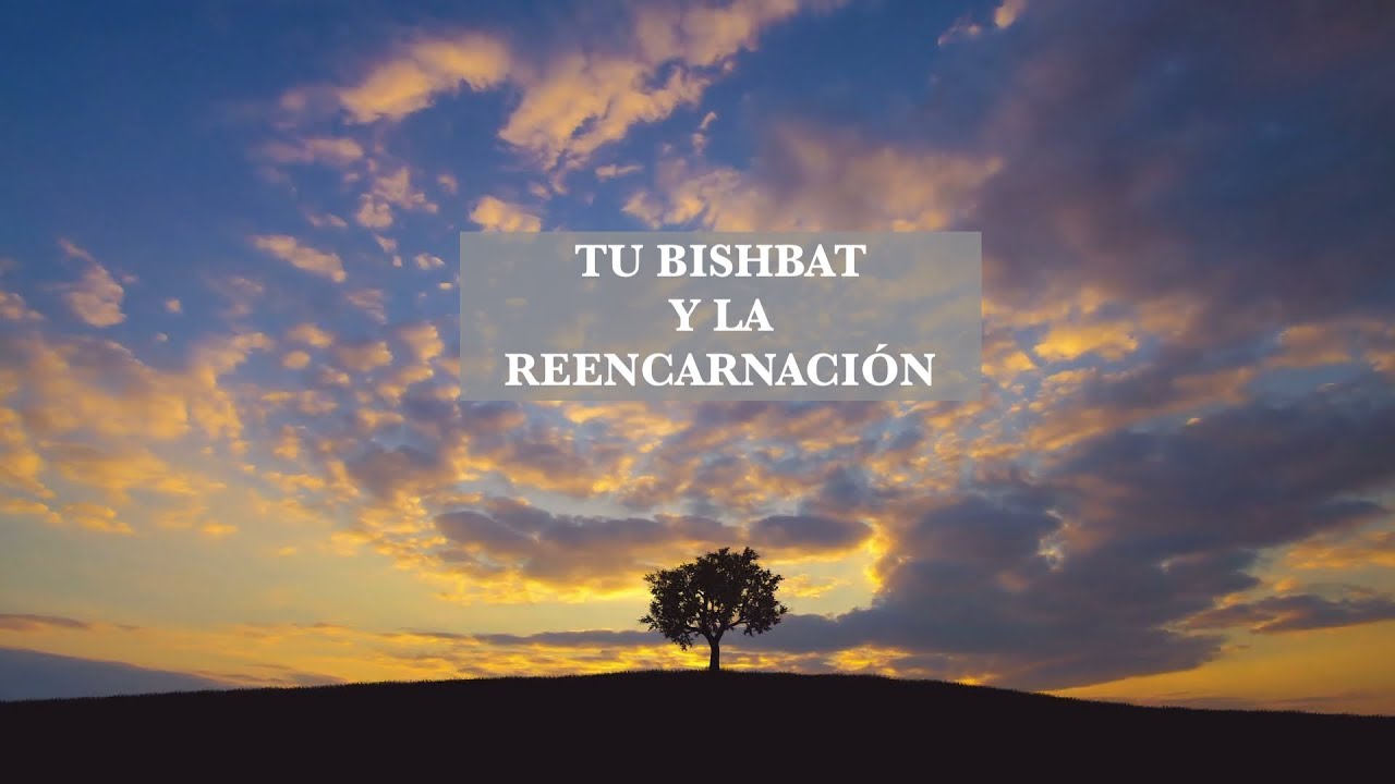 LA REENCARNACIÓN EN EL JUDAÍSMO (un mensaje de Tu bishbat) - Por el Rabino Moisés Chicurel