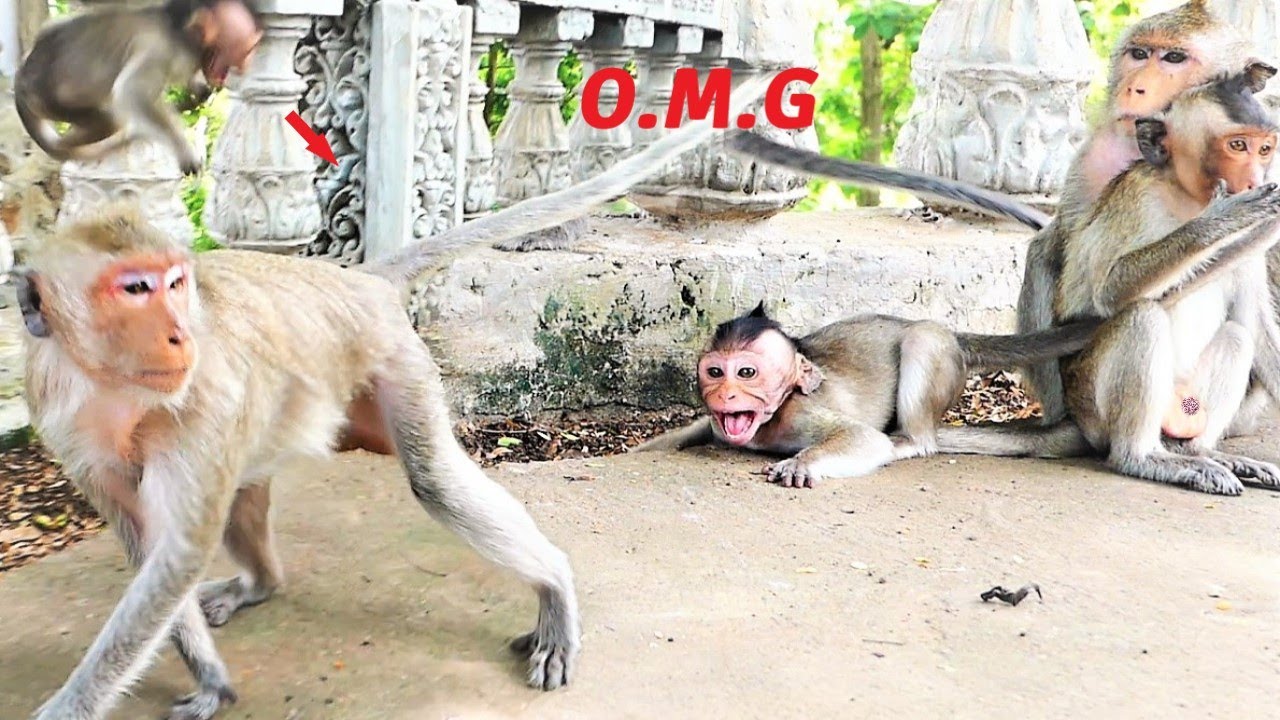 Spoiled Baby Sario Jumps From Back Of Mother Sarah To Hit The Ground, Elder Brother Marto Helps Her