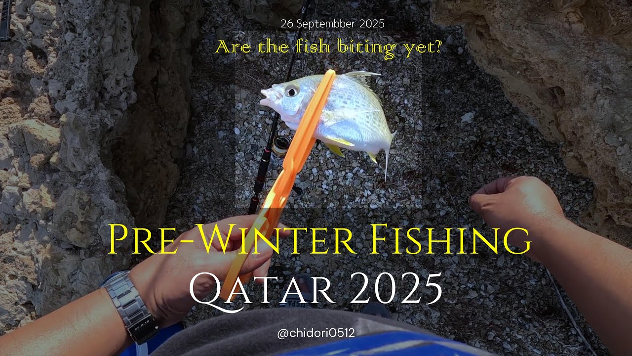 Delikado pala ang mga balo? Pre-winter fishing in Qatar 2025 - Qatar Fishing