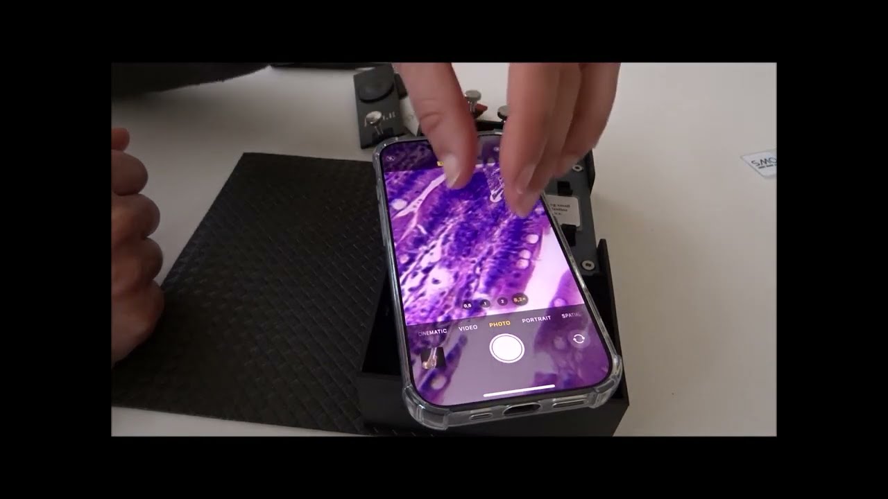 DIPLE with iPhone Pro
