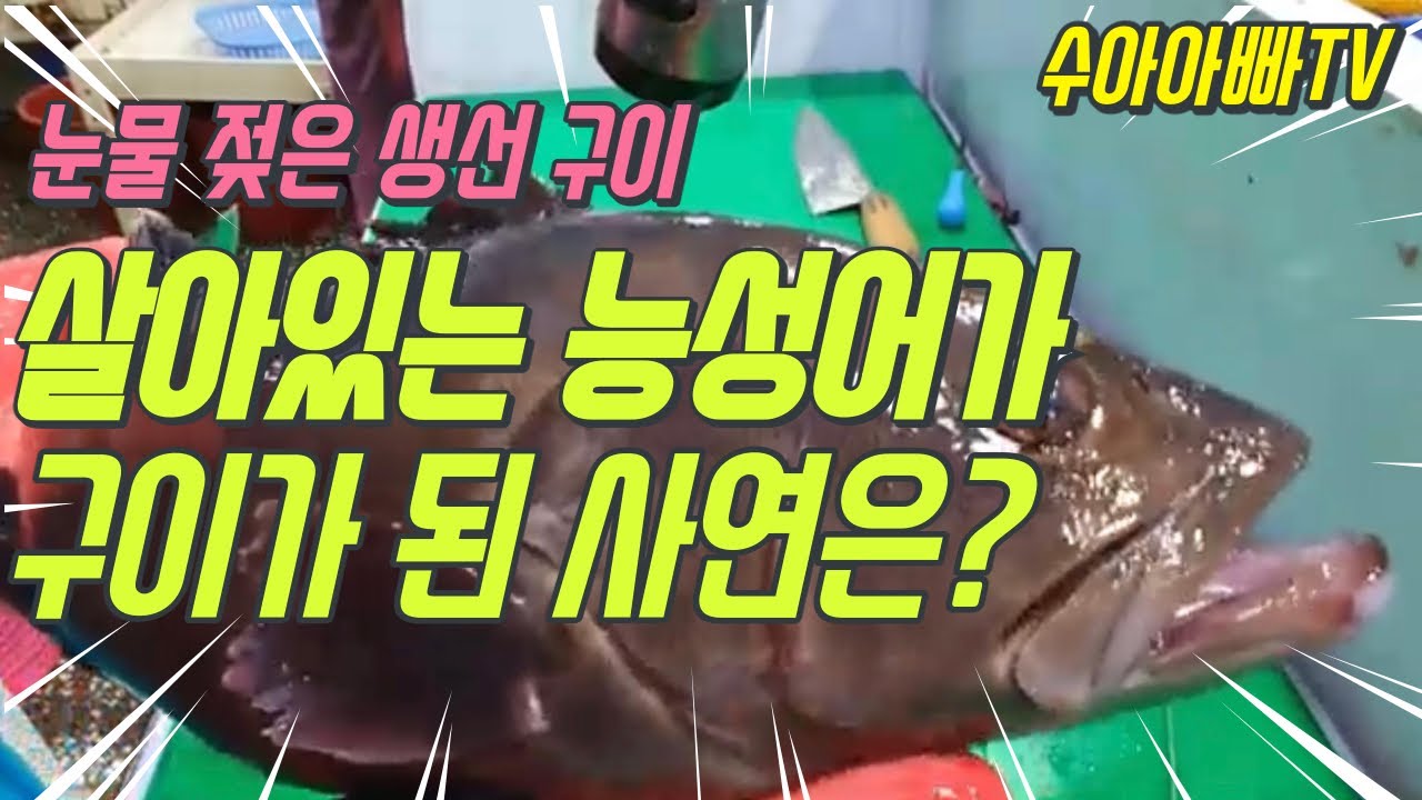 [눈물 젖은 생선구이] 살아있는 능성어가 구이가 된 사연은??? 영상을 보시면 답이 나와요. [수아아빠TV]