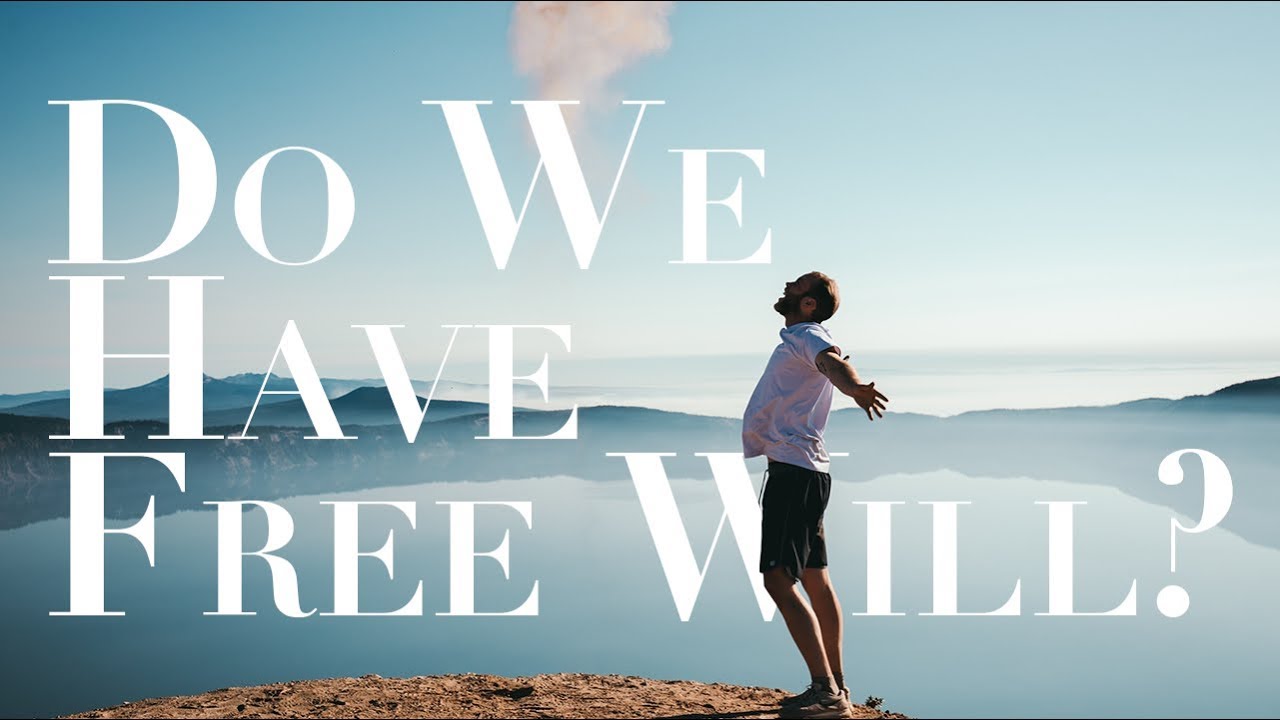 Q&A-09 Do We Have Free Will?