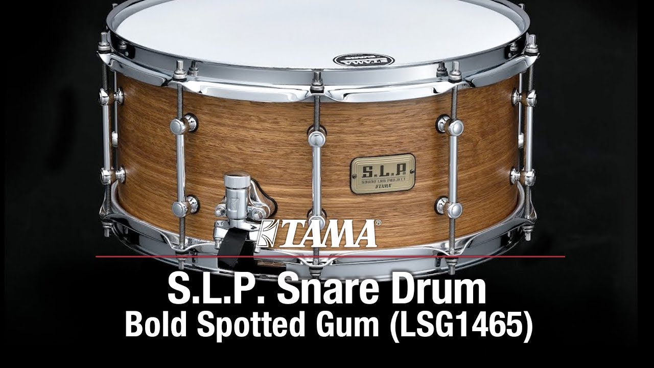 TAMA S.L.P. Bold Spotted Gum Snare Drum (LSG1465)