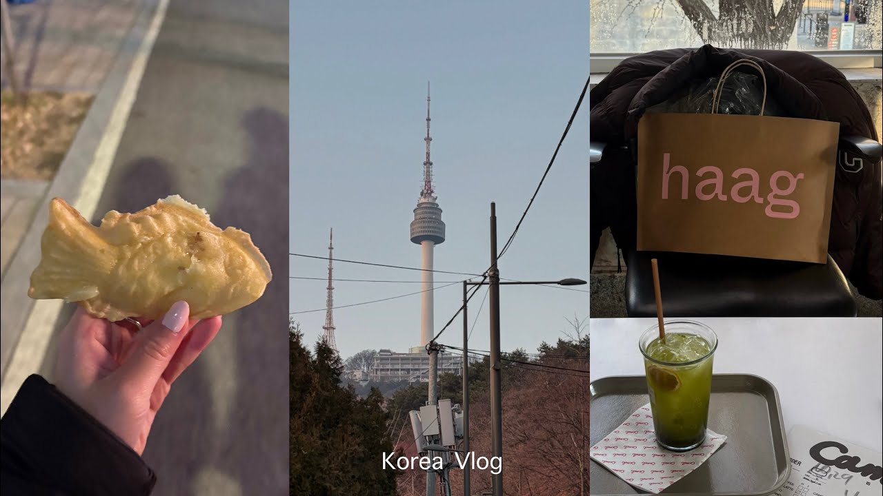 祝 첫번째  12月 韓国vlog 