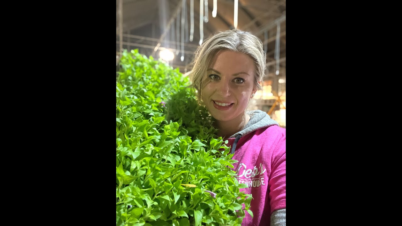 Unboxing Baby Plants #1 Spring 2022