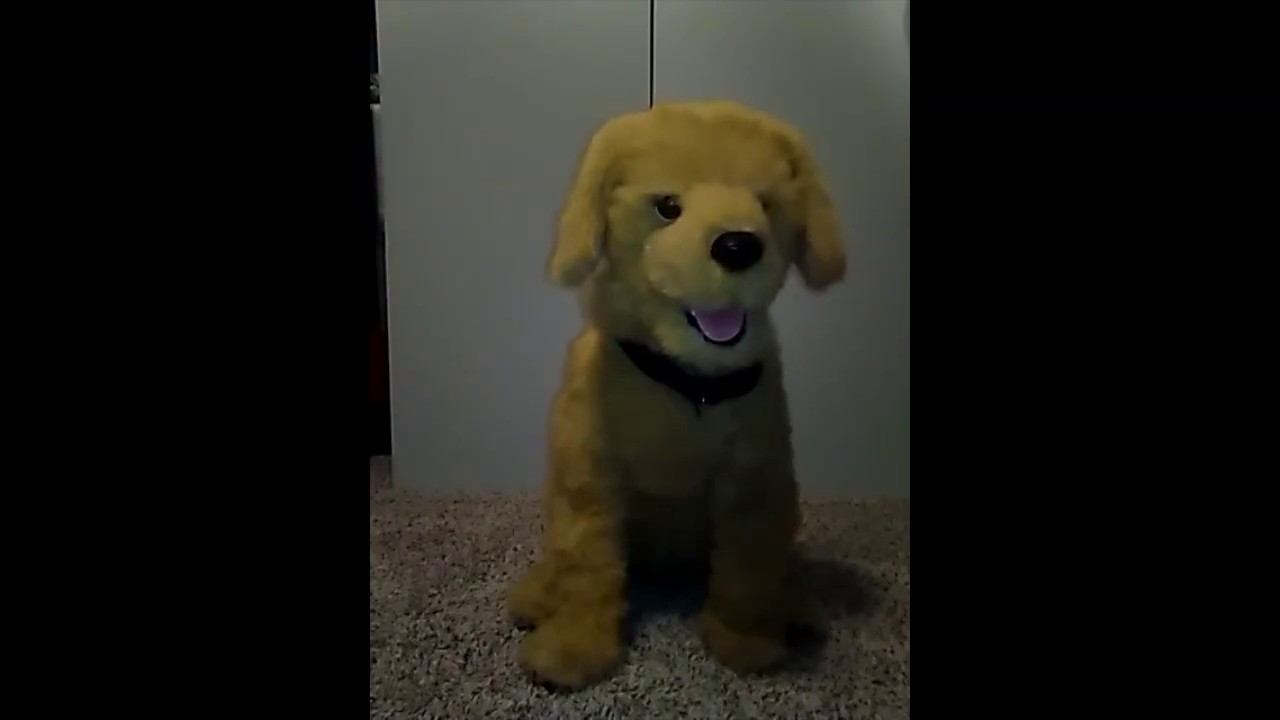 Furreal Friends 2008/v1 Biscuit my Lovin' pup toy robot dog review and demonstration part one.