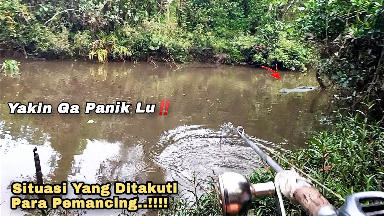 NGERIII‼️GANASNYA IKAN TOMAN DI SPOT PASANG SURUT SUNGAI‼️