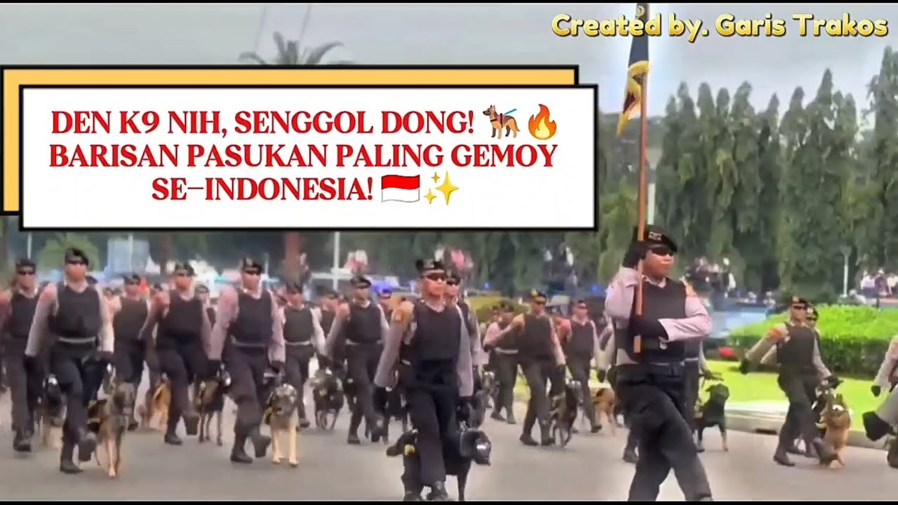 DEN K9 NIH, SENGGOL DONG 🐕‍🦺‼️#trending #k9 #polri 