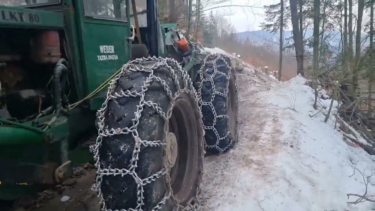 lkt 80 den 3ti 🤣🤣 hrube jasene,dlhe buky🌲🌲