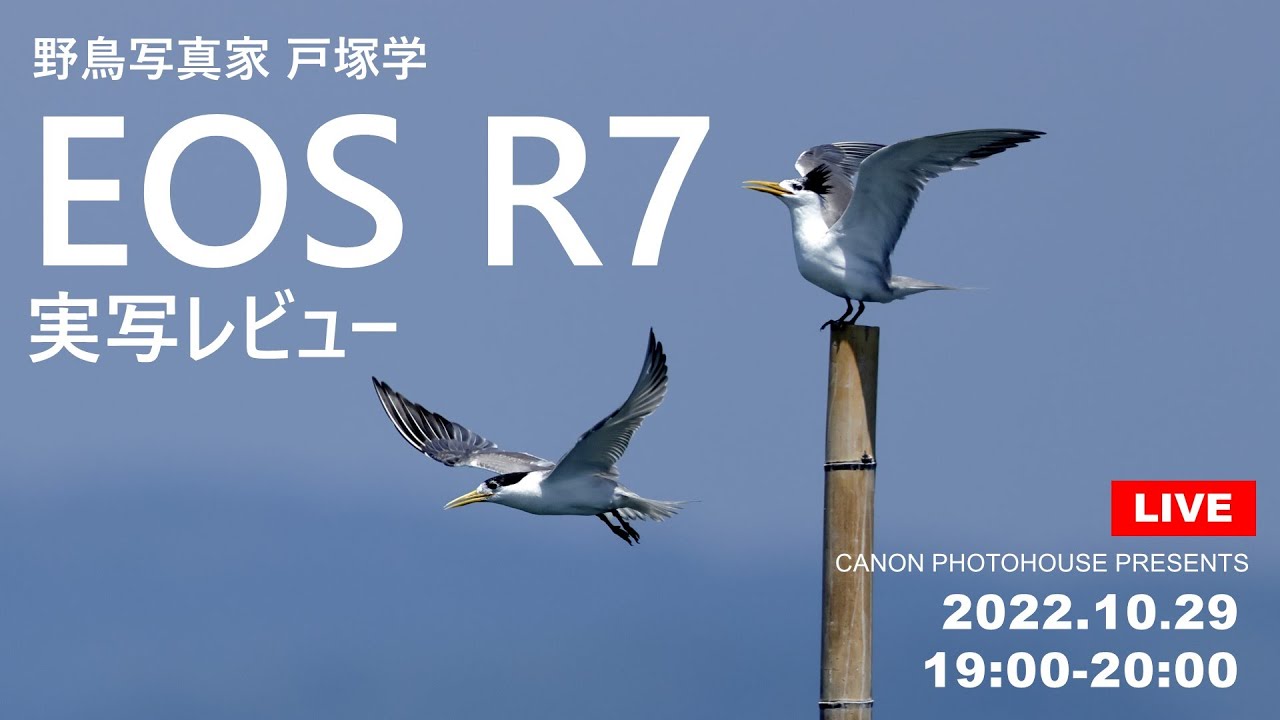 （キヤノンフォトハウス）野鳥写真家 戸塚学 EOS R7実写レビュー 【キヤノン公式】