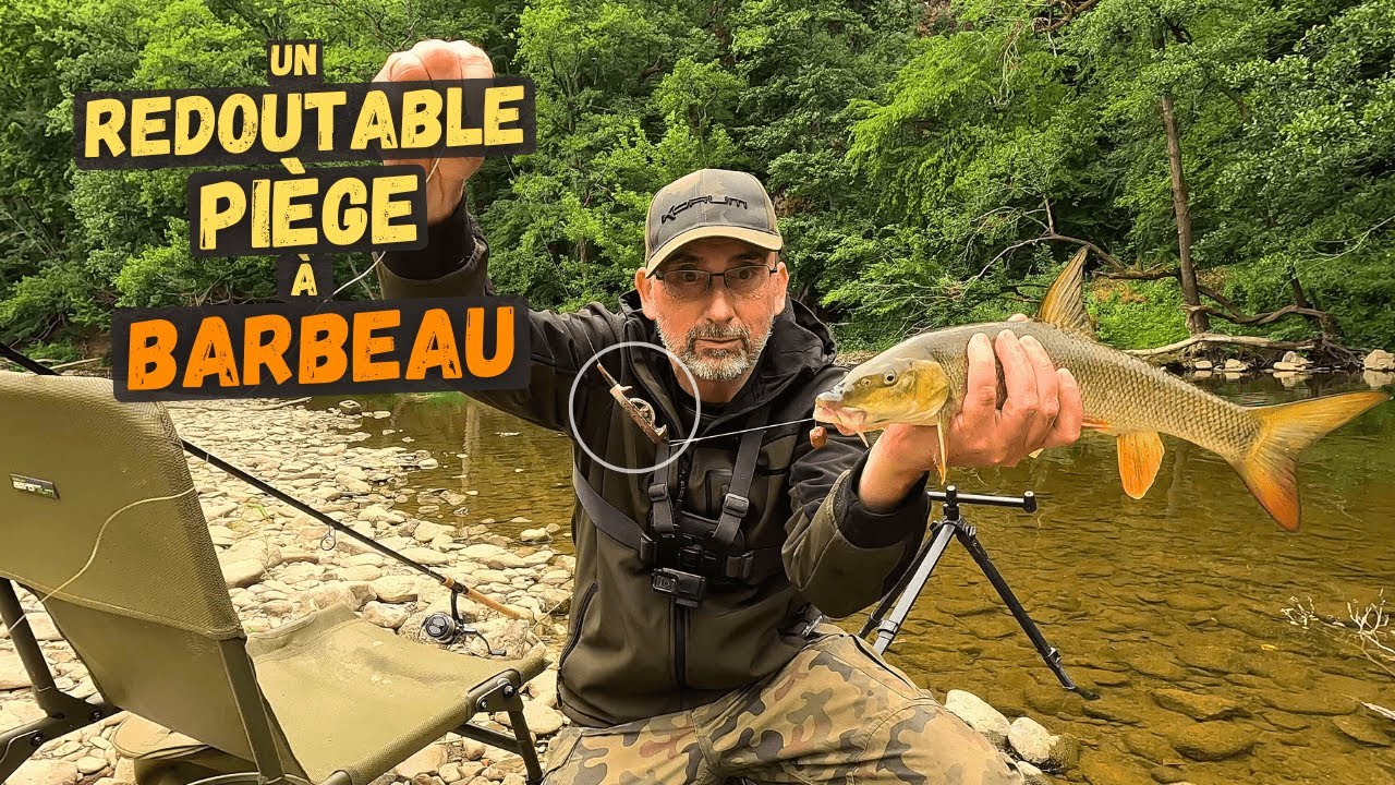 Méthode redoutable pour piéger du Barbeau par courant lent !