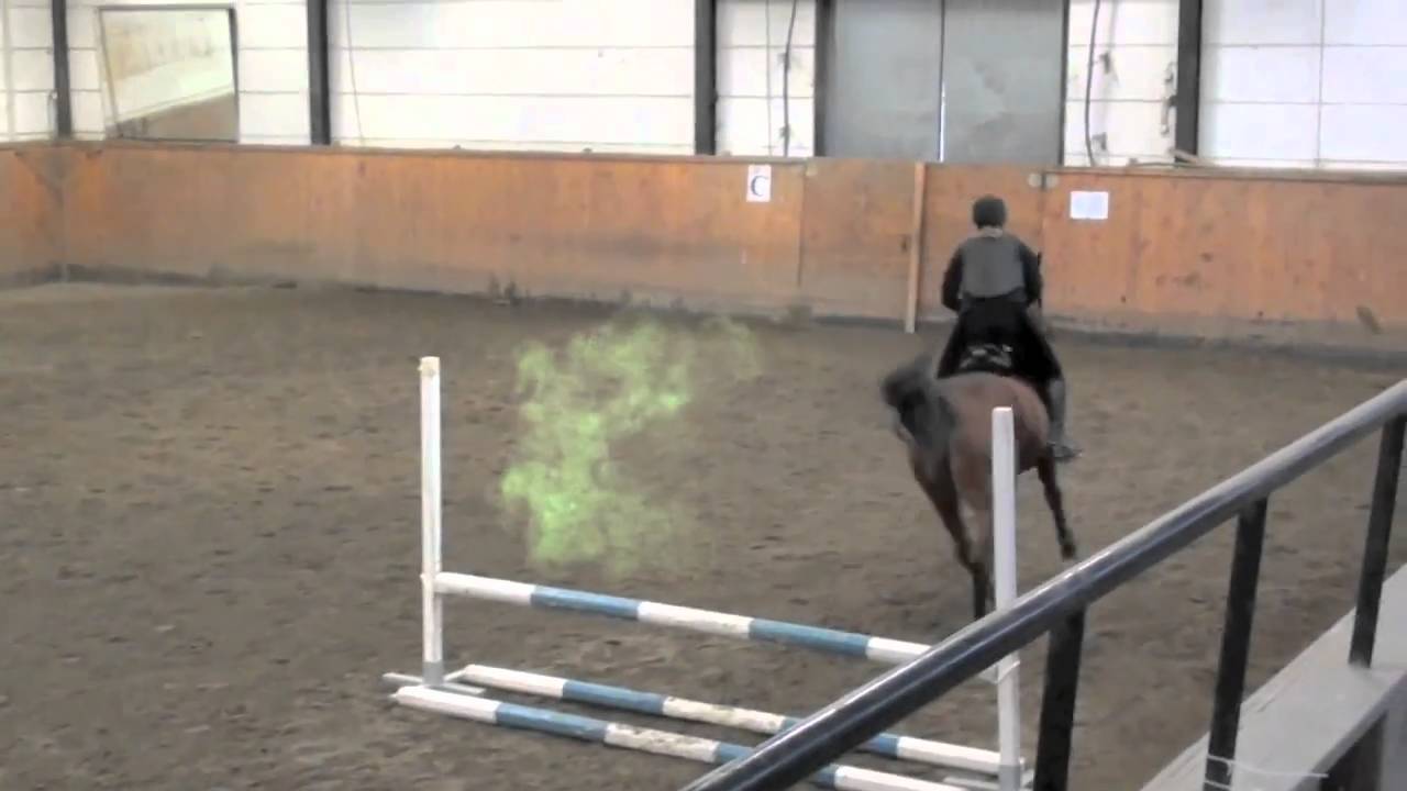 Horse fart