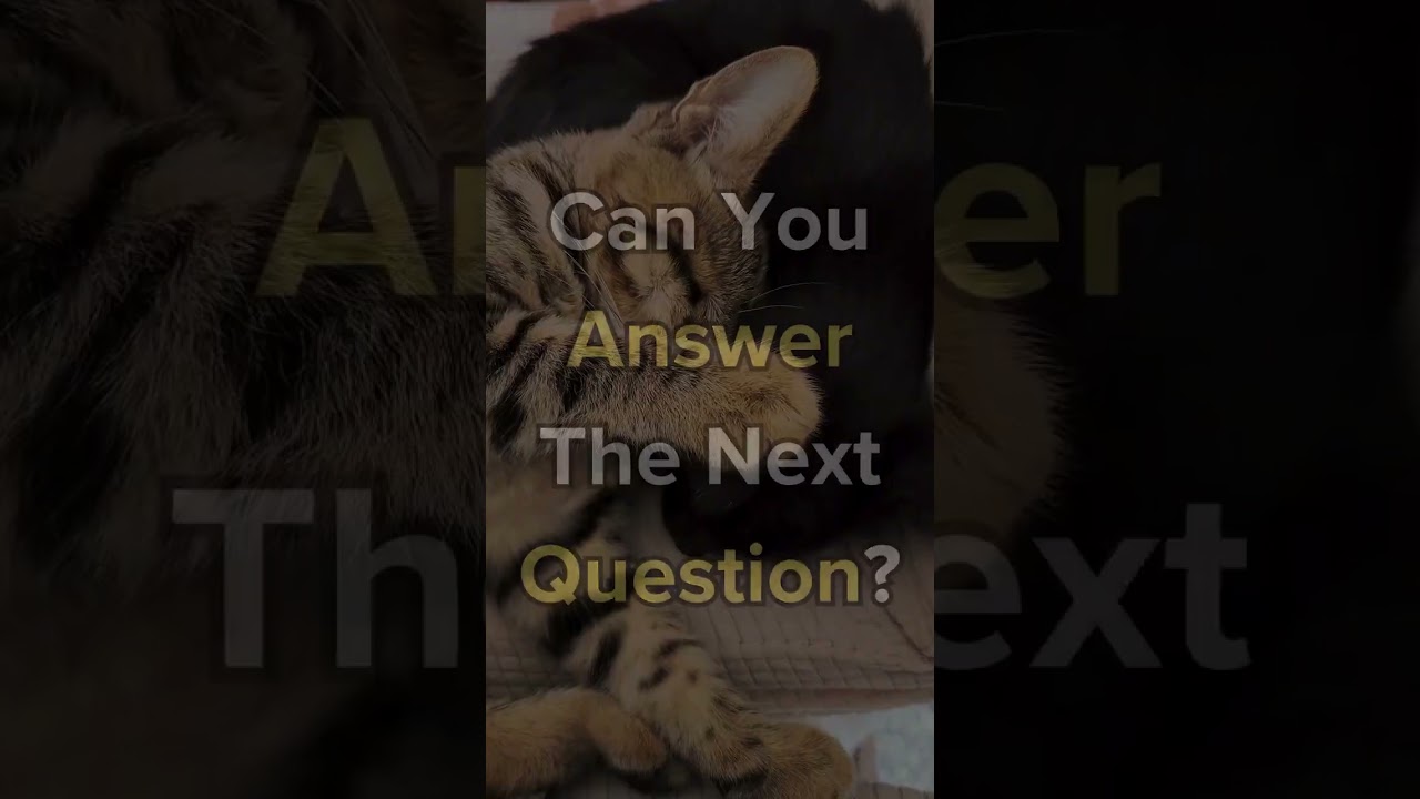 Zoology Quiz #zkstudystudio #learning #animals #shorts
