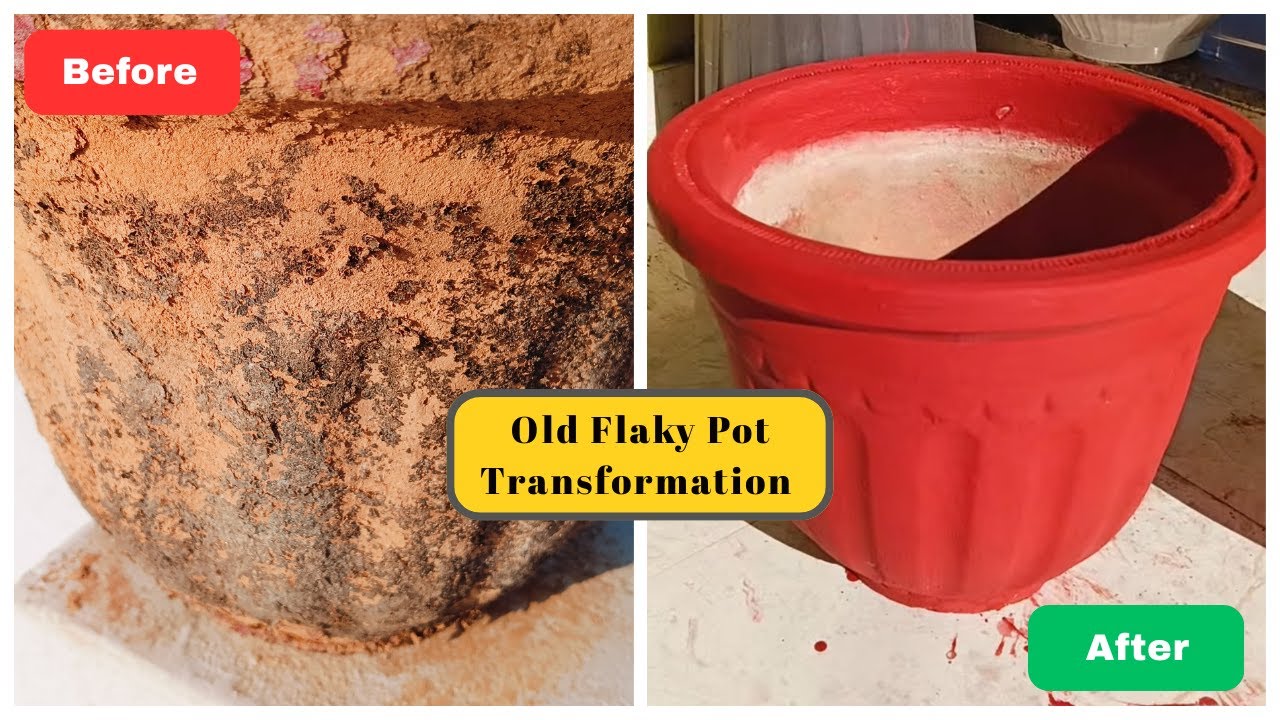 Weathered Pot Transformation| Revive Old Flaky Pots| Euphorbia Repotting