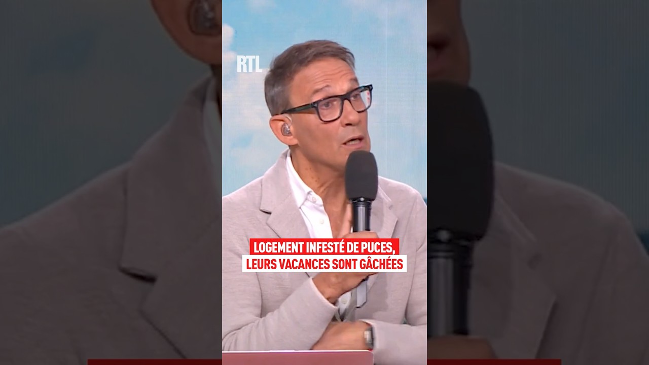 Logement infest&eacute; de puces, leurs vacances sont g&acirc;ch&eacute;es !
