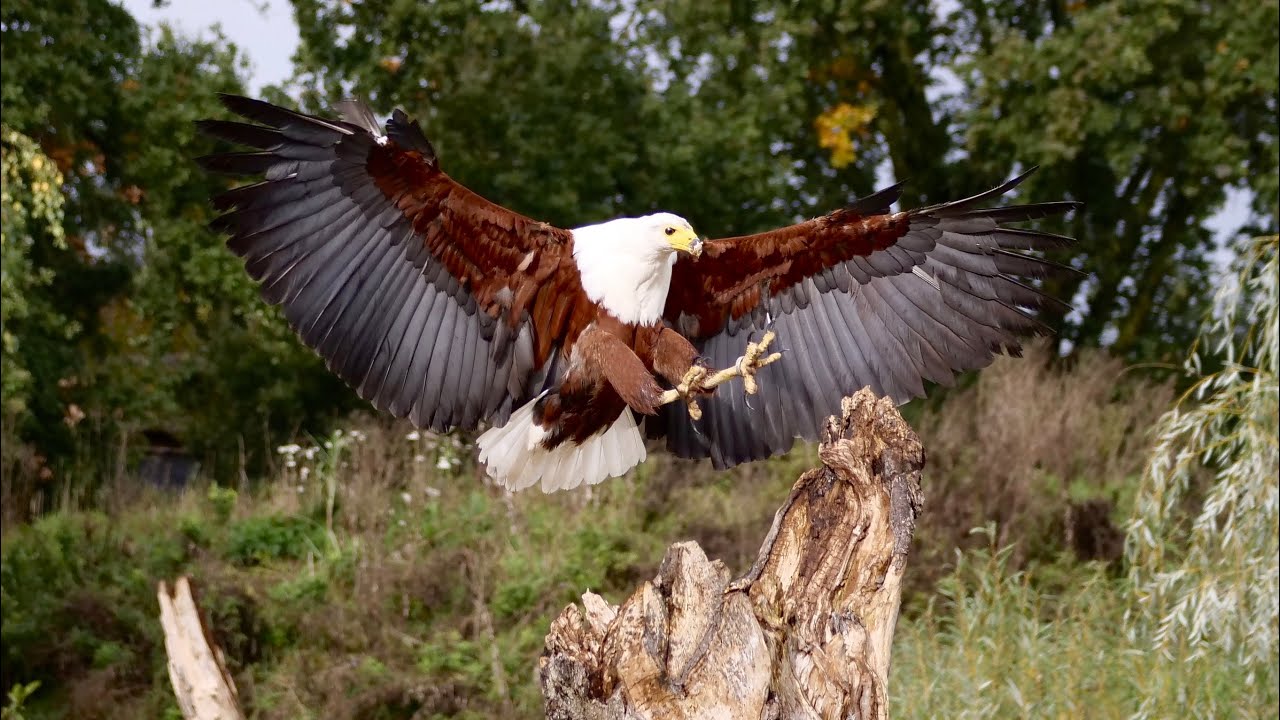 Bezoek aan vogelhut de Valk