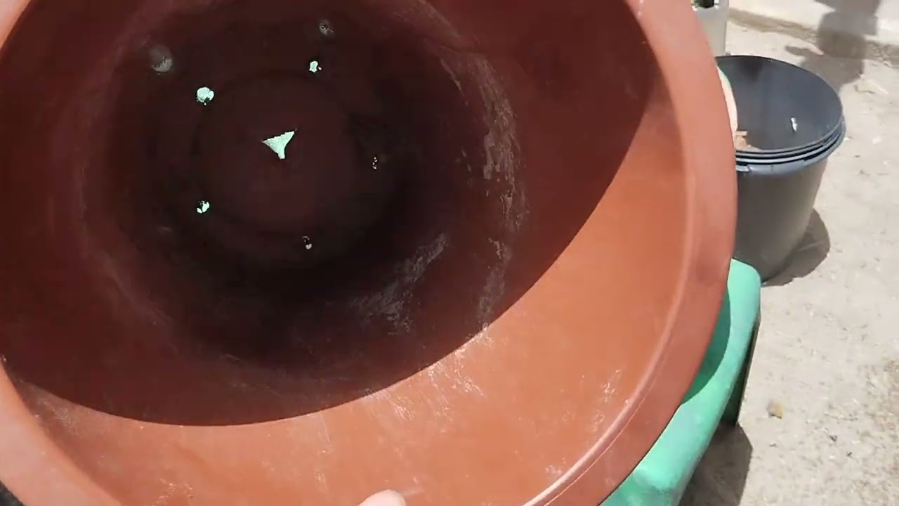 #sera que tem jeito ou só podando?