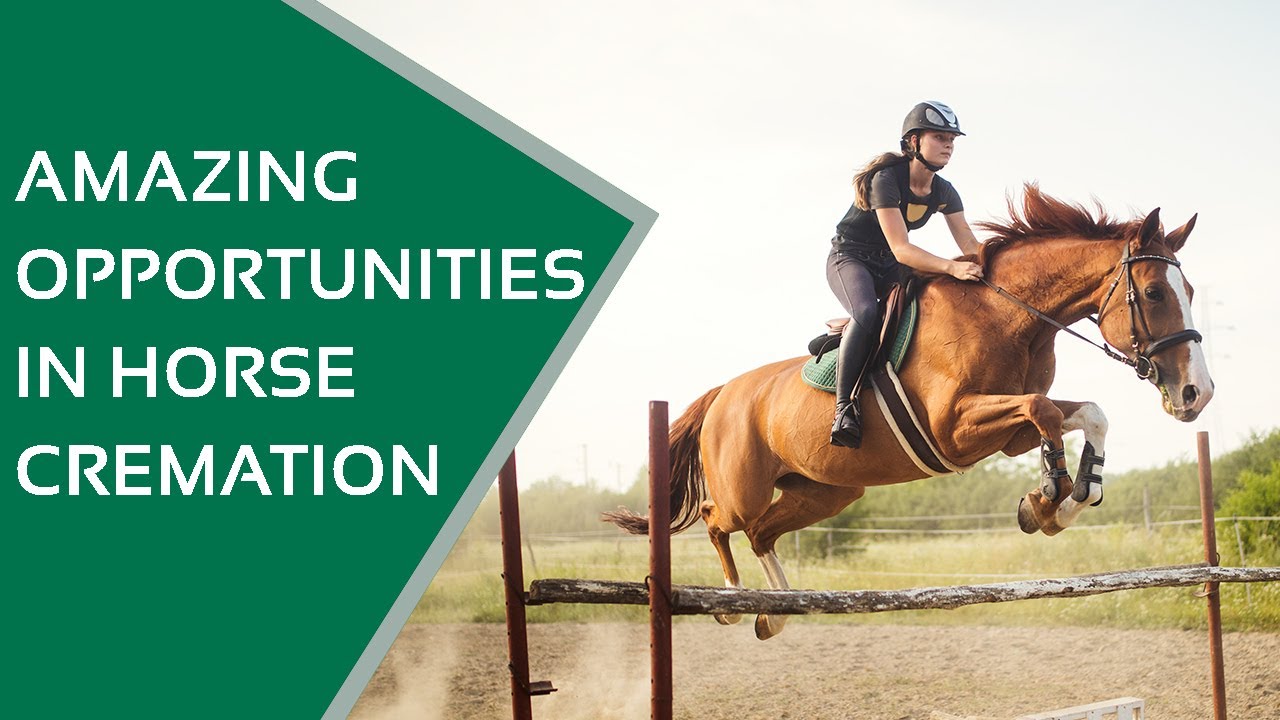 Here's Why Horse Cremation Is Becoming So Popular