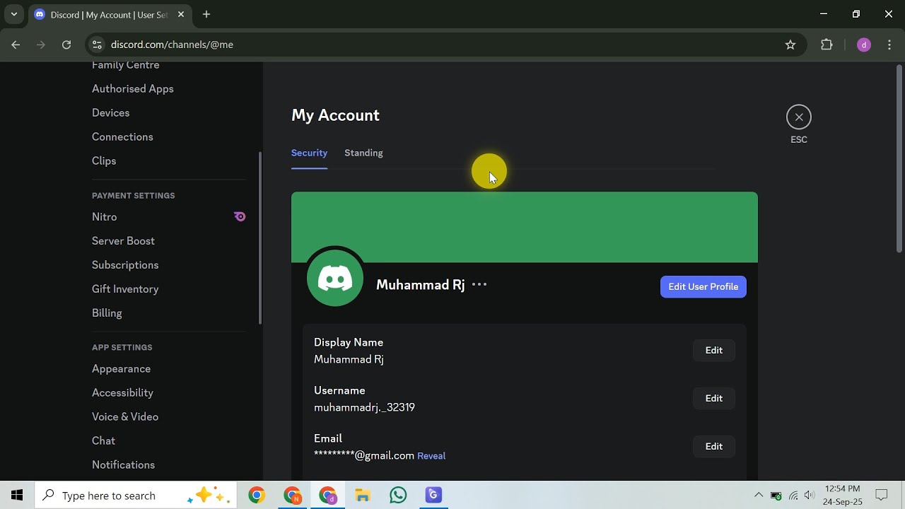 Как включить Discord Overlay в Roblox
