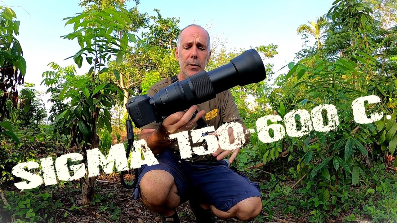 SIGMA 150-600 Contemporary, my little review with many photos and videos