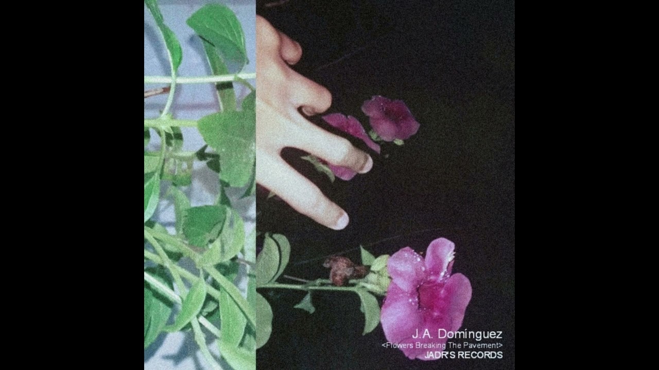 J.A. Domínguez - Flowers Breaking The Pavement (Official Audio)