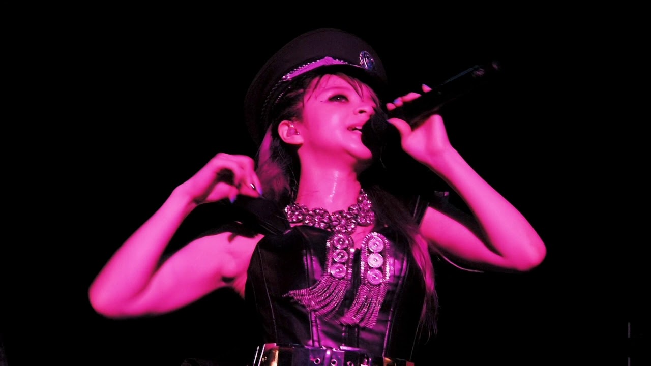 GARNiDELiA - PiNK CAT ~ stellacage vol.III