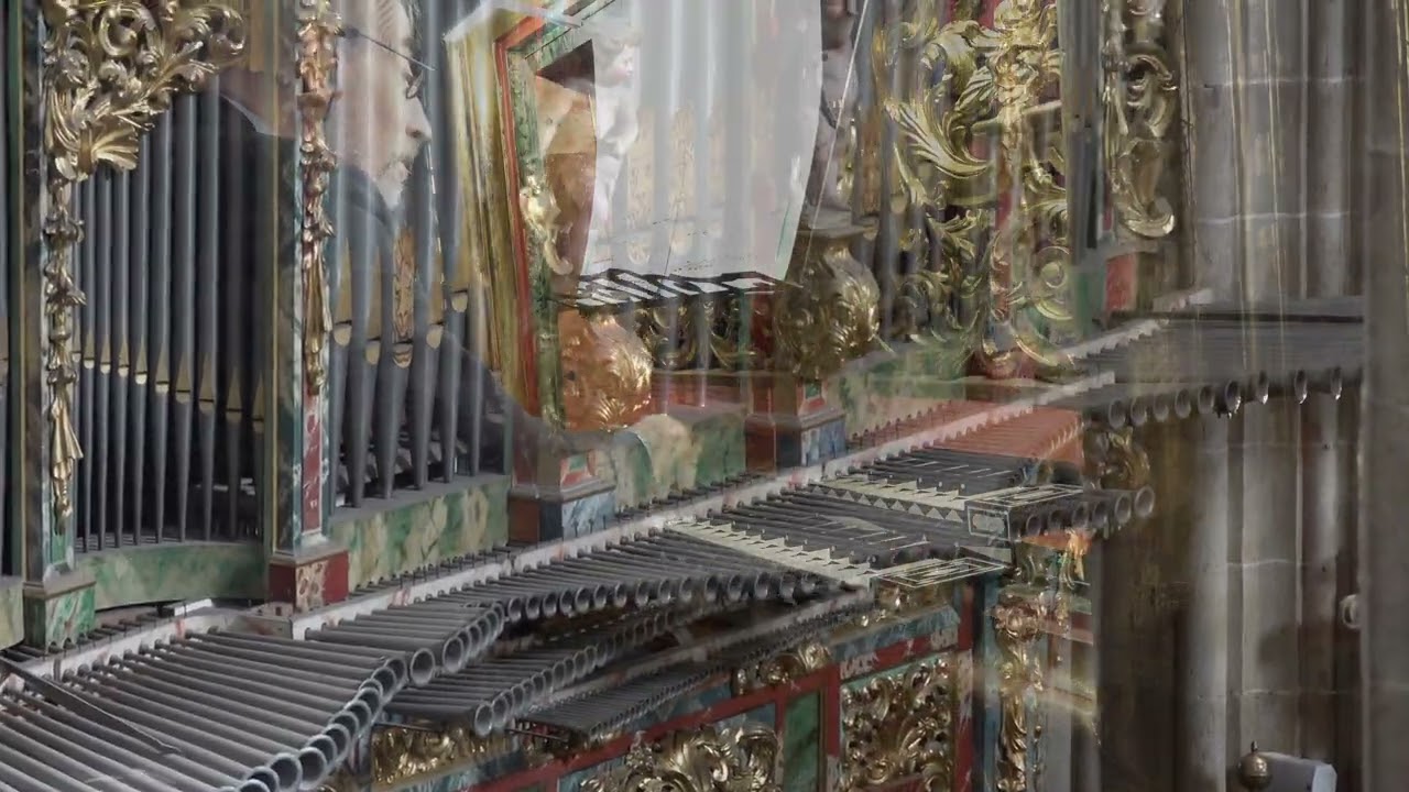 Claudio Brizi Plays F. Correa de Arauxo in Salamanca New Cathedral - Pedro Echevarría Organ, 1744