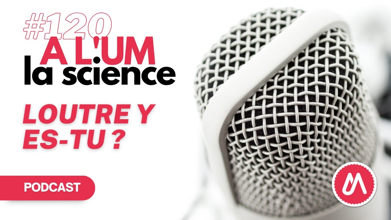 A L'UM LA SCIENCE #120 : Loutre y es-tu ?