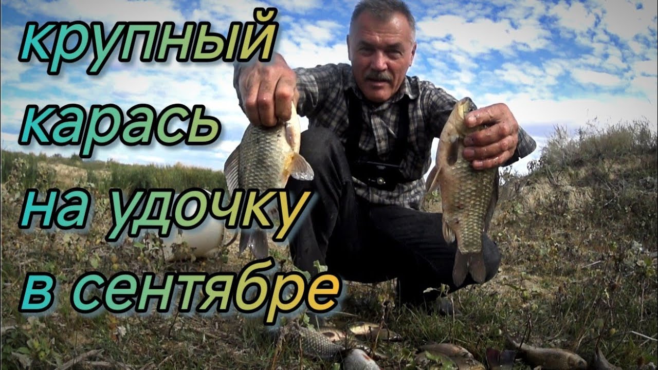 КАРАСИ КАБАНЫ на удочку  Эта лужа опять нас удивила  Рыбалка в Уилском р не Актюбинская обл 2025г