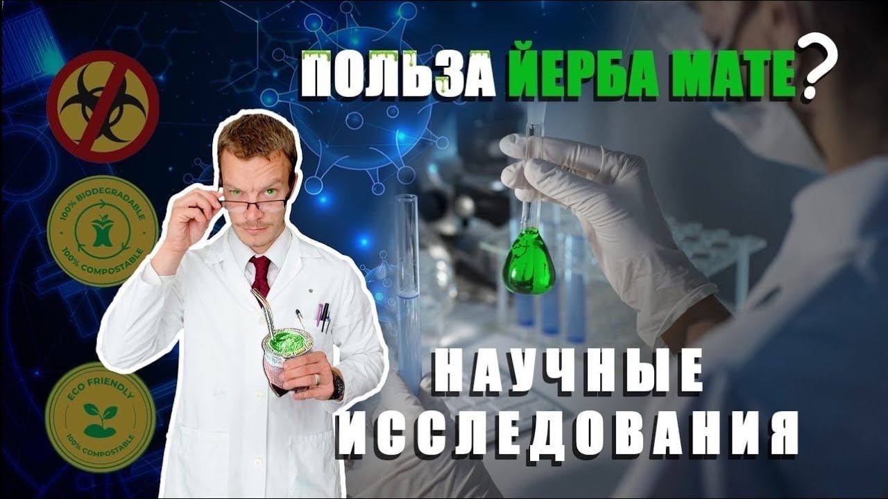 Польза йерба мате . Научные исследования
