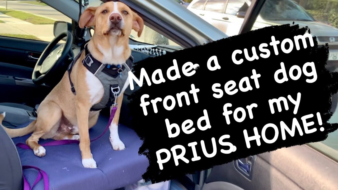 Made a custom dog bed for my car's front seat! Step by step, HOW TO. Car Camping with a dog.