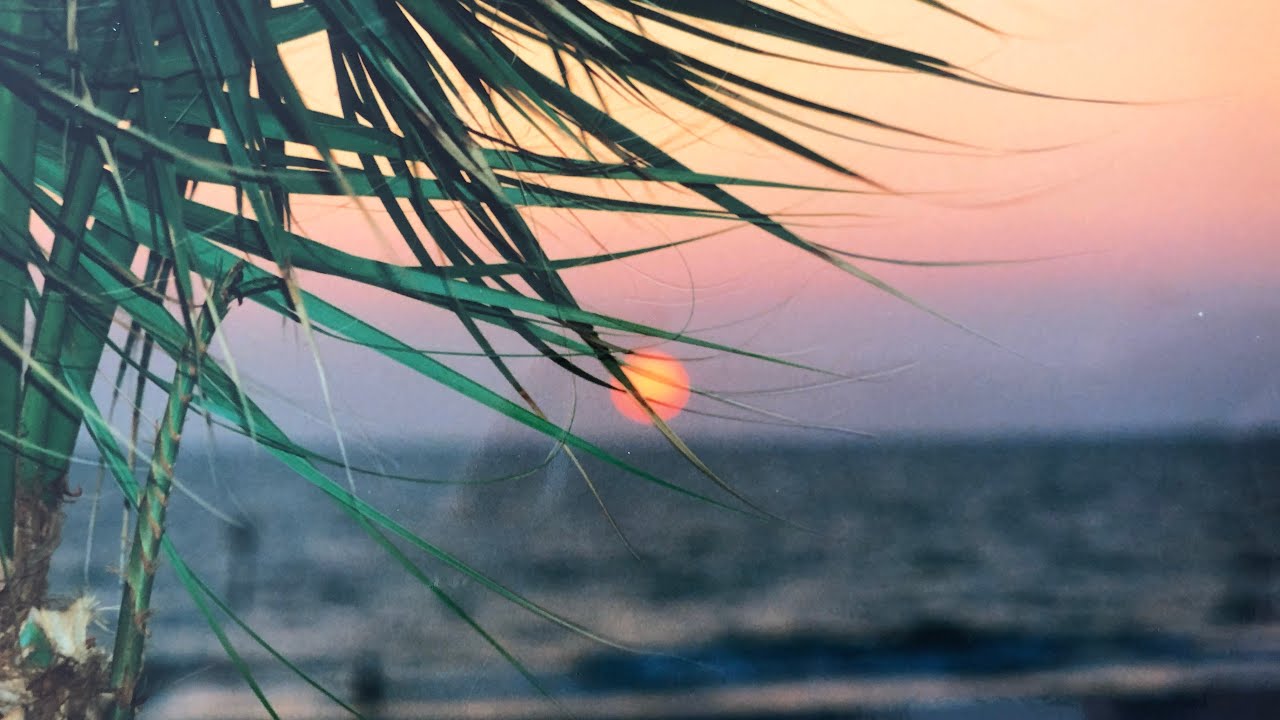 Our Florida home movies - 1999 - Part Two