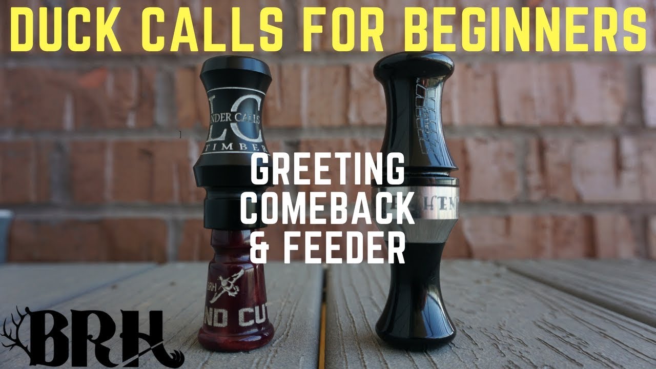 Duck Calls for Beginners: Greeting, Comeback and Feeder calls