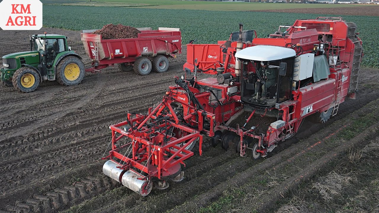 🥕 ARRACHAGE DE CAROTTES 2022 | DEWULF MEGA R3000 | SARL AGRO DFG 💪💨 !