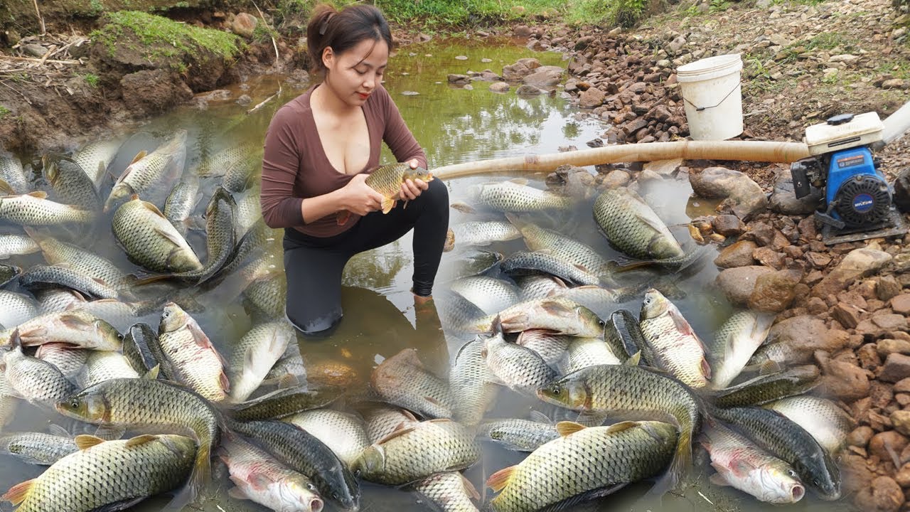 Videos Unique Fishing - The Girl Use a Pump To Suck Water Out Of The Lake - Harvesting Many Big Fish