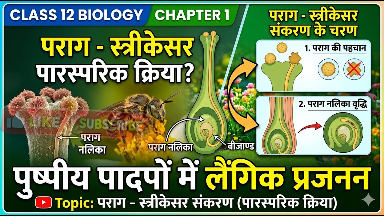 पराग-स्त्रीकेसर संकरण Pollen-Pistil Interaction,  Class 12 Biology  पुष्पीय पादपों में लैंगिक प्रजनन