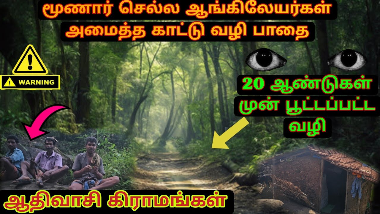 மூணார் செல்ல ஆங்கிலேயர்கள் பயன்படுத்திய அடர்ந்த காட்டு வழி பாதை|20ஆண்டுகளுக்கு முன் பூட்டப்பட்ட பாதை