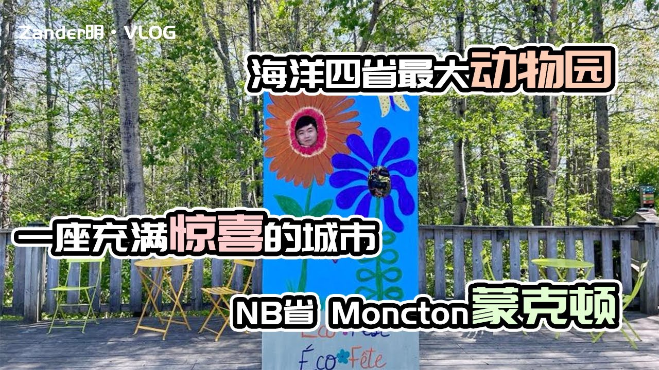 加拿大海洋四省最大枢纽城市Moncton蒙克顿之旅，一座让我们难忘的城市。｜ 游览蒙克顿磁力山动物园Magnetic Hill Zoo 【Zander明VLOG】