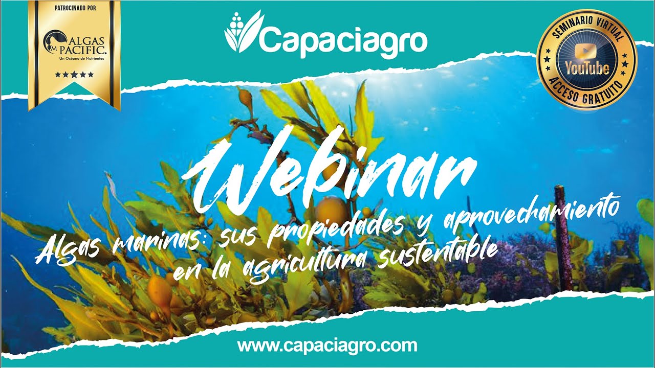#Capaciagro | Algas marinas: sus propiedades y aprovechamiento en la agricultura sustentable
